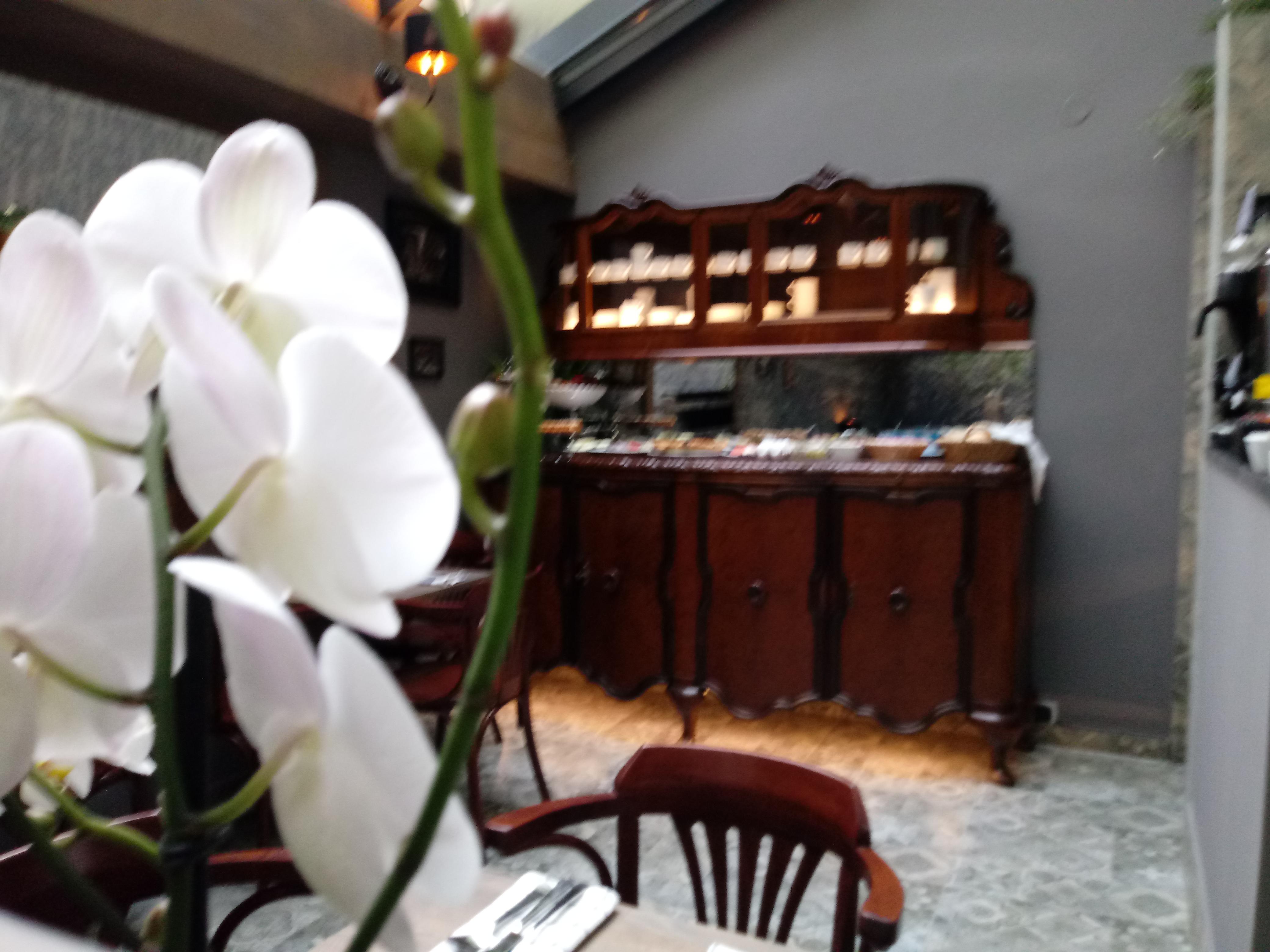 Shalom Kazimierz Aparthotel Krasków Εξωτερικό φωτογραφία